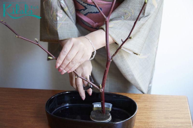 học cắm hoa Ikebana